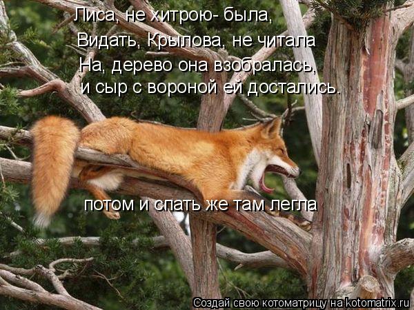 Котоматрица: Видать, Крылова, не читала Лиса, не хитрою- была, На, дерево она взобралась,  и сыр с вороной ей достались. потом и спать же там легла