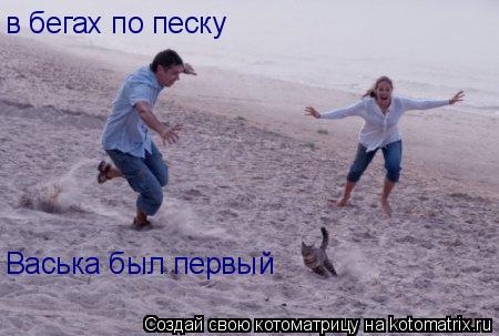 Котоматрица: в бегах по песку Васька был первый