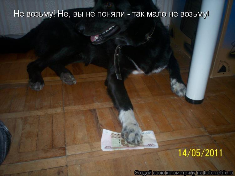 Котоматрица: Не возьму! Не, вы не поняли - так мало не возьму!