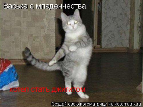 Котоматрица: Васька с младенчества хотел стать джигитом