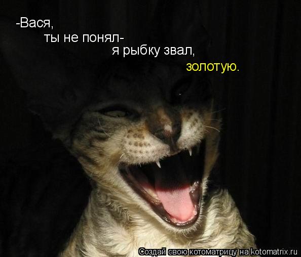 Котоматрица: -Вася, ты не понял- я рыбку звал, золотую.