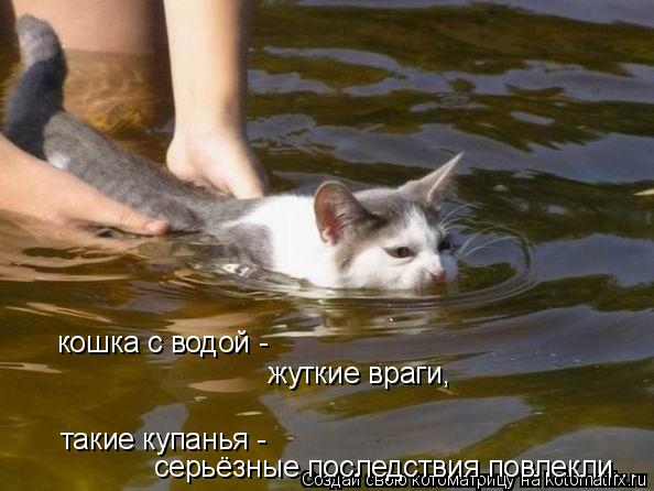 Котоматрица: кошка с водой -  жуткие враги, такие купанья -  серьёзные последствия повлекли...