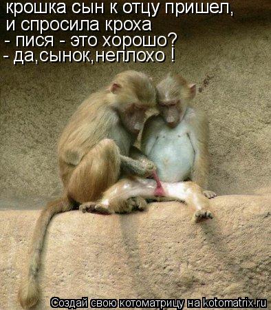 Котоматрица: крошка сын к отцу пришел, и спросила кроха  крошка сын к отцу пришел, - пися - это хорошо? - да,сынок,неплохо !