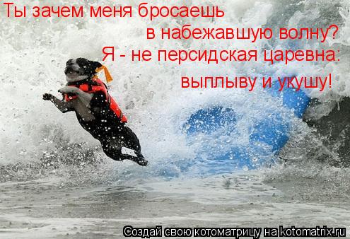 Котоматрица: Ты зачем меня бросаешь  в набежавшую волну? выплыву и укушу! Я - не персидская царевна: