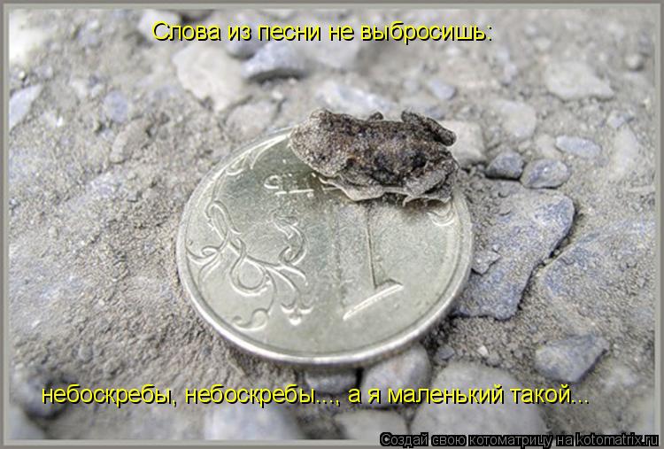Котоматрица: Слова из песни не выбросишь: небоскребы, небоскребы..., а я маленький такой...