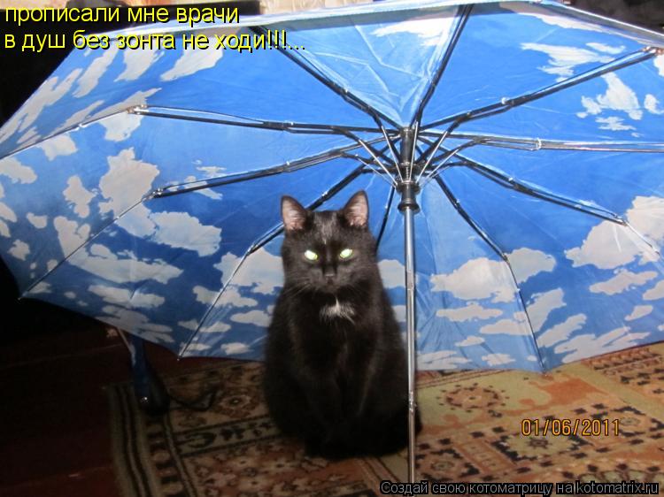 Котоматрица: прописали мне врачи в душ без зонта не ходи!!!...