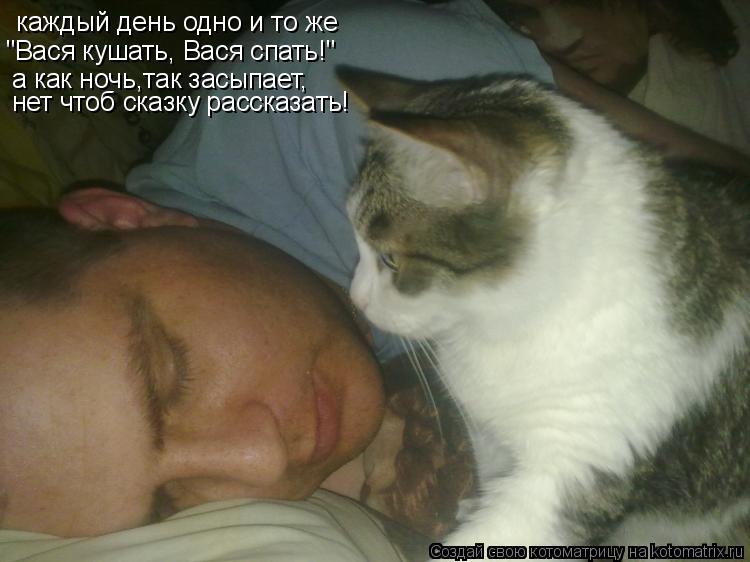 каждый день одно и то же "Вася кушать, Вася спать!" а как ночь,так засыпает, нет чтоб сказку рассказа... Котоматрица: каждый день одно и то же "Вася кушать, Вася спать!" а как ночь,так засыпает, нет чтоб сказку рассказать!