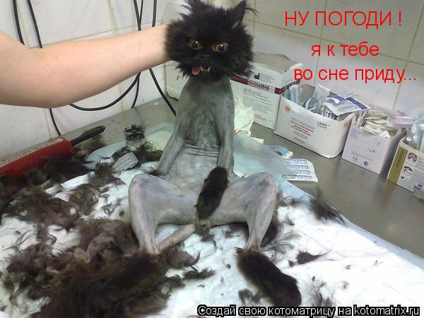 Котоматрица: НУ ПОГОДИ ! во сне приду...  я к тебе