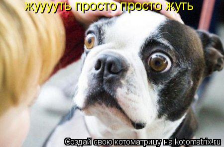 Котоматрица: жууууть просто просто жуть