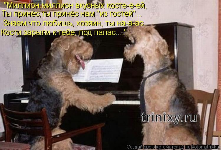 "Миллион,миллион вкусных косте-е-ей, Ты принёс,ты принёс нам "из гостей"... Знаем,что любишь, хозяин,... Котоматрица: "Миллион,миллион вкусных косте-е-ей, Ты принёс,ты принёс нам "из гостей"... Знаем,что любишь, хозяин, ты на-а-ас, Кости зарыли к тебе, под палас....