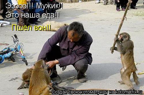 Котоматрица: Эээээ!!! Мужик!! Это наша еда!! Пшёл вон!!