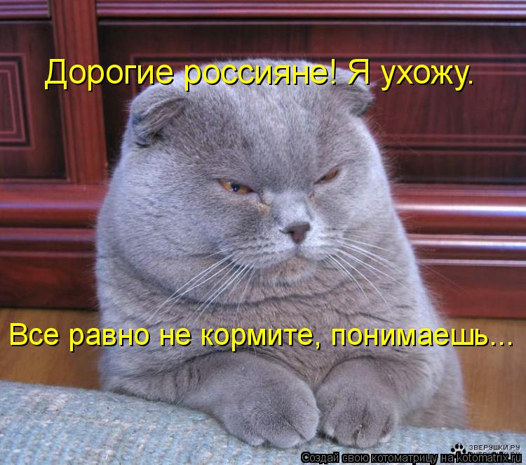 Котоматрица: Дорогие россияне! Я ухожу. Все равно не кормите, понимаешь...