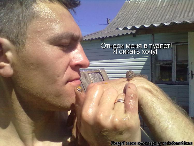 Котоматрица: Отнеси меня в туалет! Я сикать хочу!