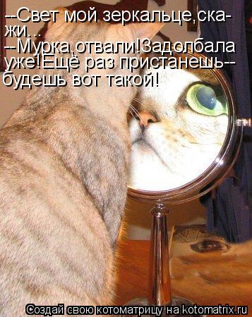 Котоматрица: --Свет мой зеркальце,ска- жи... --Мурка,отвали!Задолбала уже!Ещё раз пристанешь-- будешь вот такой!