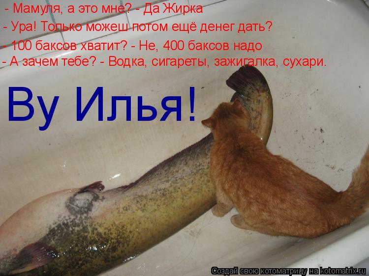 Котоматрица: - Мамуля, а это мне? - Да Жирка - Ура! Только можеш потом ещё денег дать? - 100 баксов хватит? - Не, 400 баксов надо - А зачем тебе? - Водка, сигареты