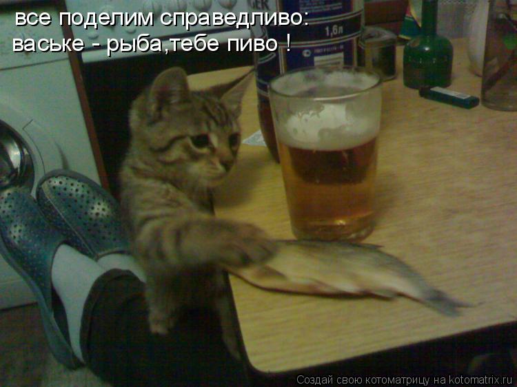Котоматрица: все поделим справедливо: ваське - рыба,тебе пиво !