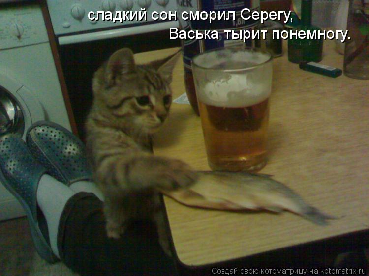 Котоматрица: сладкий сон сморил Серегу, Васька тырит понемногу.