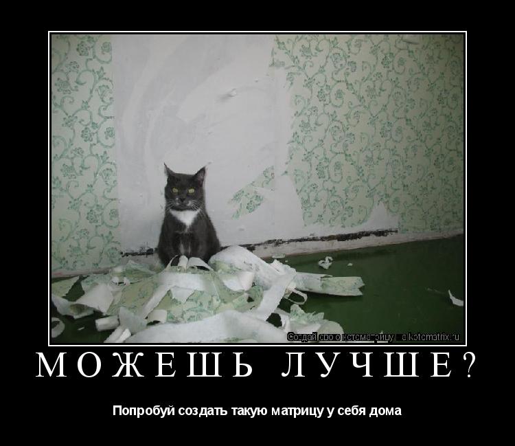 Котоматрица: Можешь лучше? Попробуй создать такую матрицу у себя дома
