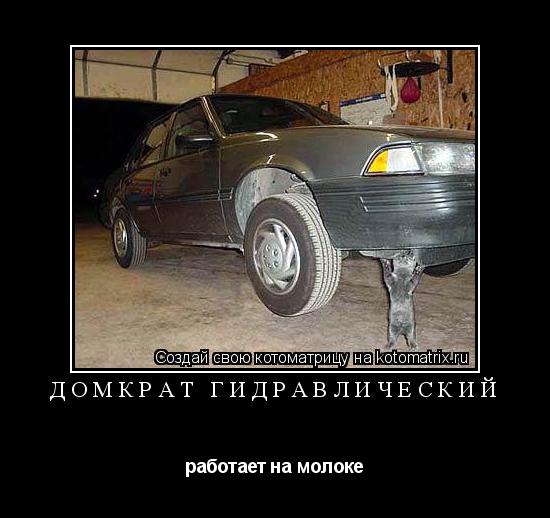Котоматрица: Домкрат гидравлический работает на молоке