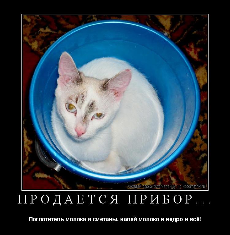 Котоматрица: Продаётся прибор... Поглотитель молока и сметаны. налей молоко в ведро и всё!