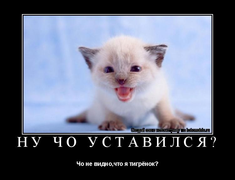 Котоматрица: Ну чо уставился? Чо не видно,что я тигрёнок?