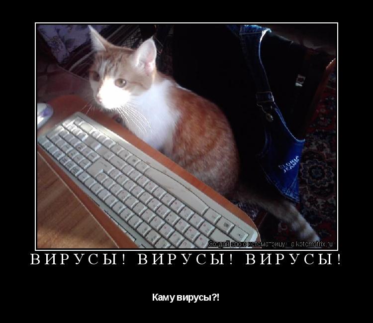 Котоматрица: Вирусы! Вирусы! Вирусы! Каму вирусы?!