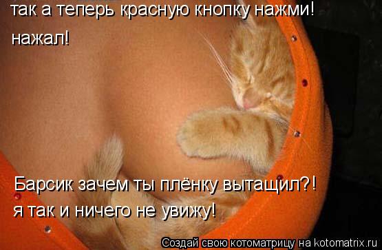 Котоматрица: так а теперь красную кнопку нажми! нажал! Барсик зачем ты плёнку вытащил? ! я так и ничего не увижу!
