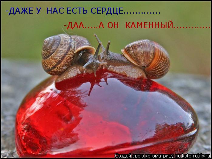 Котоматрица: -ДАЖЕ У  НАС ЕСТЬ СЕРДЦЕ............. -ДАА.....А ОН  КАМЕННЫЙ.............