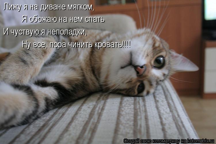 Котоматрица: Лижу я на диване мягком, Я обожаю на нем спать И чуствую я неполадки, Ну все, пора чинить кровать!!!!
