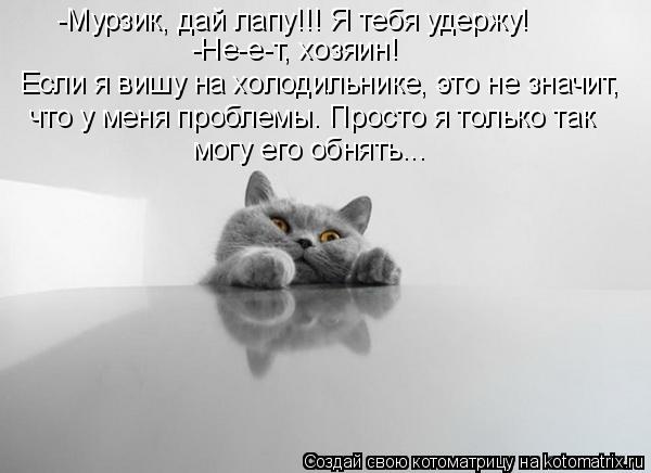 Котоматрица: -Мурзик, дай лапу!!! Я тебя удержу! -Не-е-т, хозяин! Если я вишу на холодильнике, это не значит, что у меня проблемы. Просто я только так могу его 