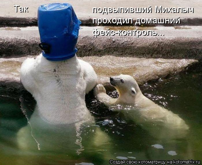 Котоматрица: Так             подвыпивший Михалыч  проходил домашний фейс-контроль...