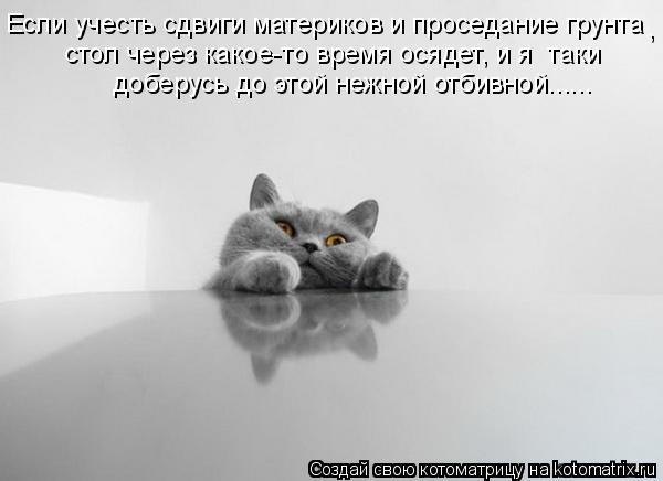 Котоматрица: Если учесть сдвиги материков и проседание грунта , стол через какое-то время осядет, и я  таки   доберусь до этой нежной отбивной......