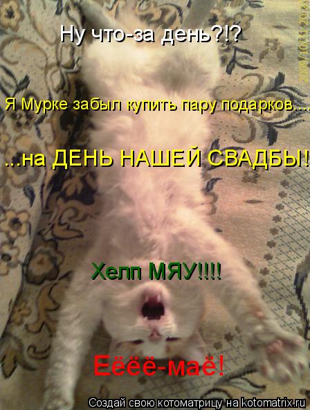 Котоматрица: Еёёё-маё! Я Мурке забыл купить пару подарков.... ...на ДЕНЬ НАШЕЙ СВАДБЫ! Ну что-за день?!? Хелп МЯУ!!!!
