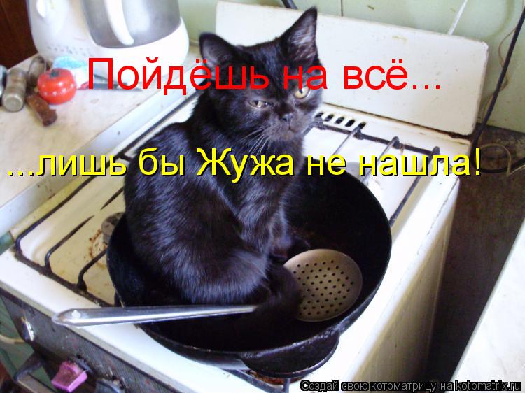 Котоматрица: Пойдёшь на всё... ...лишь бы Жужа не нашла!