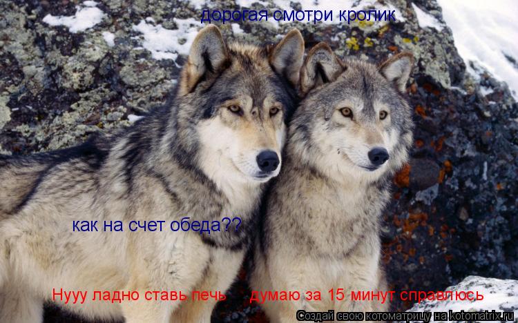 Котоматрица: дорогая смотри кролик  как на счет обеда?? Нууу ладно ставь печь     думаю за 15 минут справлюсь