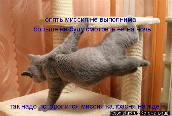 Котоматрица: так надо поторопится миссия калбасня не ждет так надо поторопится миссия калбасня не ждет опять миссия не выполнима  больше не буду смотре