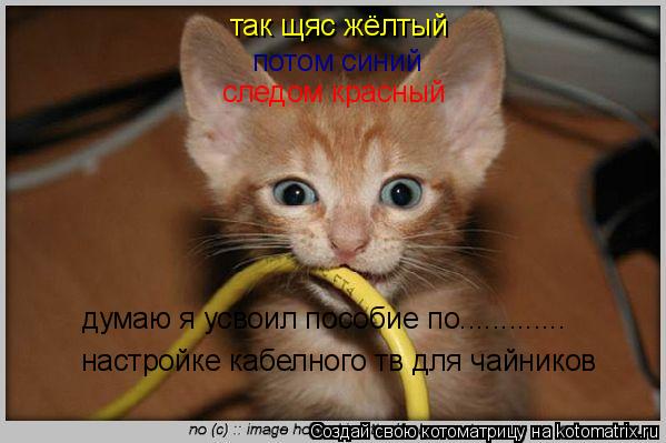 Котоматрица: так щяс жёлтый потом синий следом красный настройке кабелного тв для чайников думаю я усвоил пособие по.............