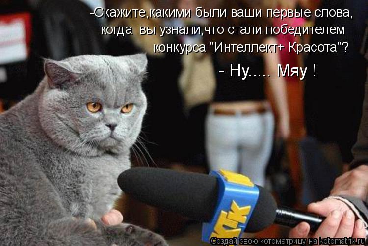 -Скажите,какими были ваши первые слова, когда вы узнали,что стали победителем конкурса "Интеллект+ ... Котоматрица: -Скажите,какими были ваши первые слова, когда вы узнали,что стали победителем конкурса "Интеллект+ Красота"? - Ну..... Мяу !