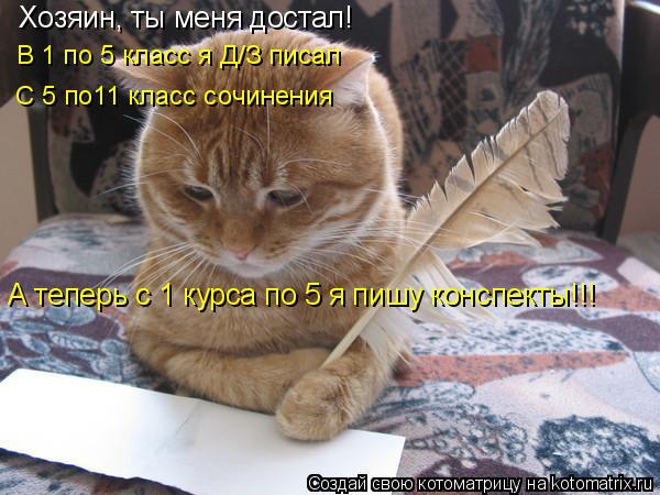 Котоматрица: Хозяин, ты меня достал! В 1 по 5 класс я Д/З писал С 5 по11 класс сочинения А теперь с 1 курса по 5 я пишу конспекты!!!