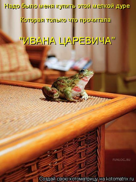 Котоматрица: Надо было меня купить этой мелкой дуре Которая только что прочитала  "ИВАНА ЦАРЕВИЧА"