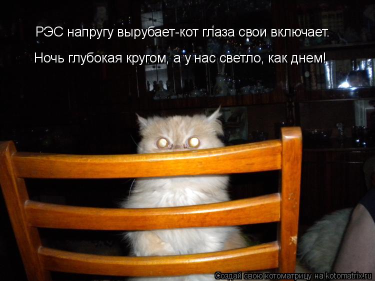 Котоматрица: РЭС напругу вырубает-кот глаза свои включает.  Ночь глубокая кругом, а у нас светло, как днем!