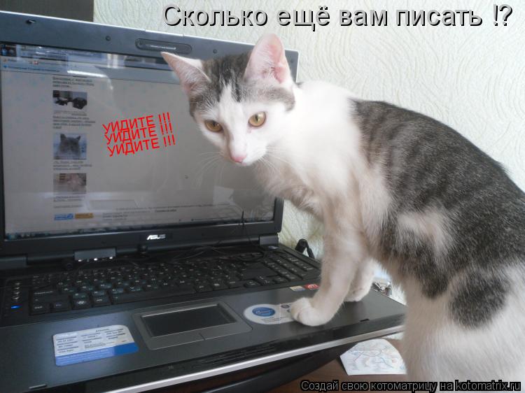 Котоматрица: УИДИТЕ !!! УИДИТЕ !!! УИДИТЕ !!! Сколько ещё вам писать !?