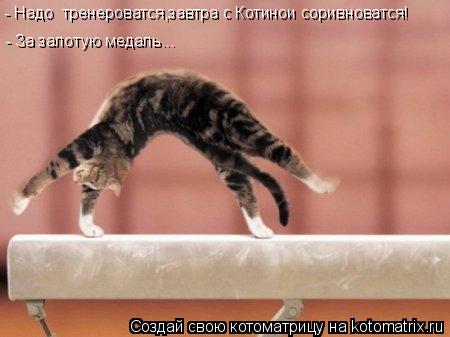 Котоматрица: - Надо  тренероватся,завтра с Котинои соривноватся! - За залотую медаль...