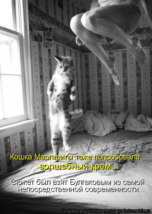 Котоматрица: Кошка Маргариты тоже попробовала  волшебный крем... Сюжет был взят Булгаковым из самой  непосредственной современности...