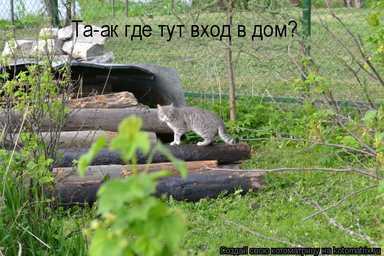 Котоматрица: Та-ак где тут вход в дом?