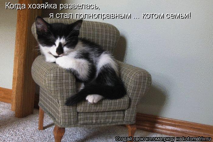 Котоматрица: Когда хозяйка развелась,  я стал полноправным ... котом семьи!