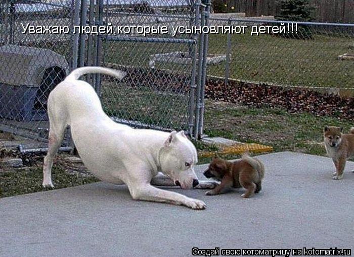 Котоматрица: Уважаю людей,которые усыновляют детей!!!