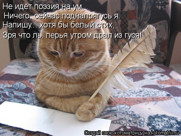 Не идёт поэзия на ум. Напишу... хотя бы белый стих, Зря что ль, перья утром драл из гуся! Ничего... Котоматрица: Не идёт поэзия на ум. Напишу... хотя бы белый стих, Зря что ль, перья утром драл из гуся! Ничего, сейчас поднапрягусь я.