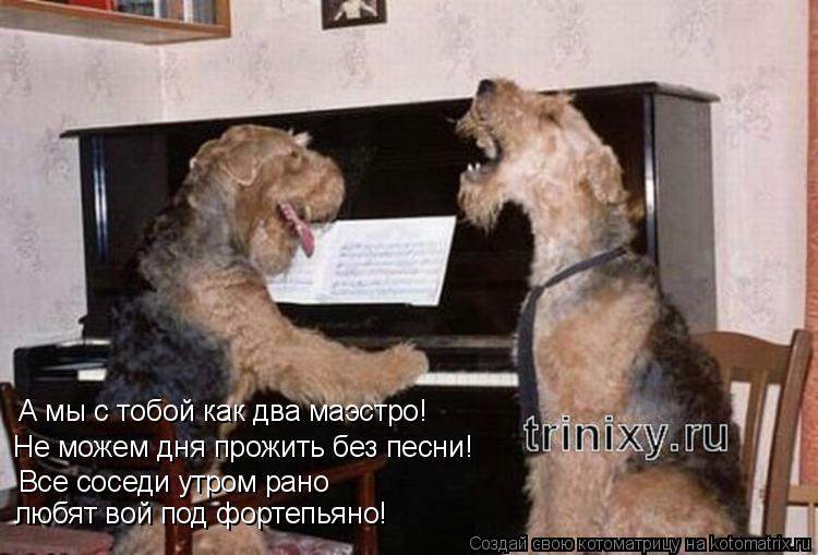 Котоматрица: А мы с тобой как два маэстро! Не можем дня прожить без песни! Все соседи утром рано  любят вой под фортепьяно!