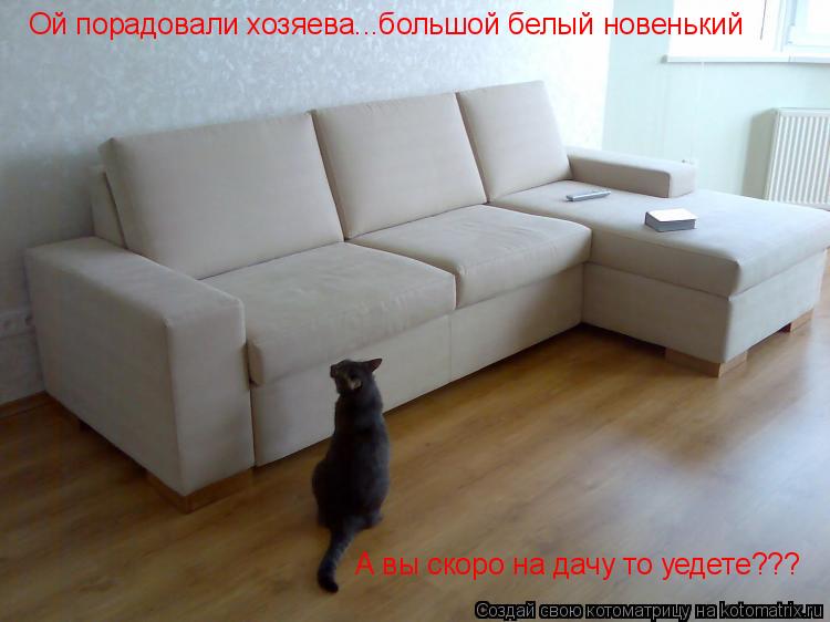 Котоматрица: Ой порадовали хозяева...большой белый новенький А вы скоро на дачу то уедете???